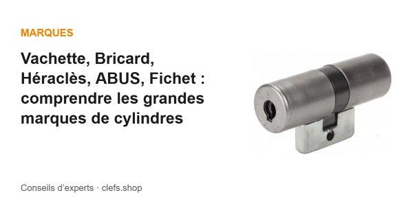 Vachette, Bricard, Héraclès, ABUS, Fichet : comprendre les grandes marques de cylindres
